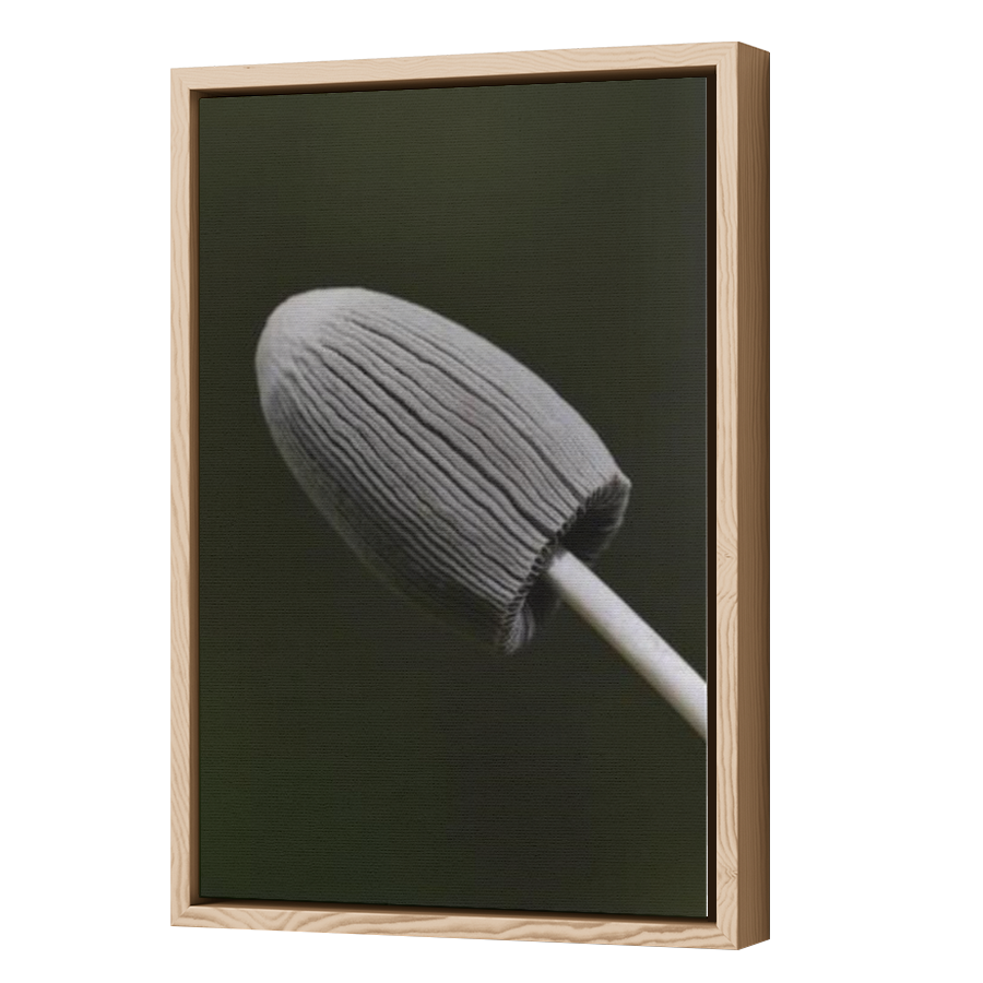 Thumbnail for Canvas - Wood Grain Floating Frame