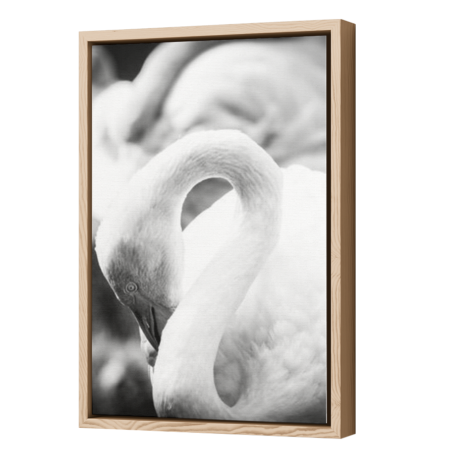 Thumbnail for Canvas - Wood Grain Floating Frame