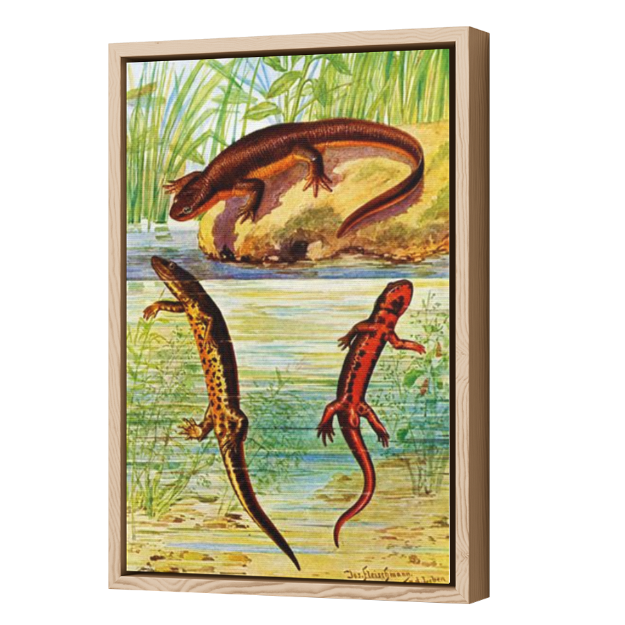 Thumbnail for Canvas - Wood Grain Floating Frame