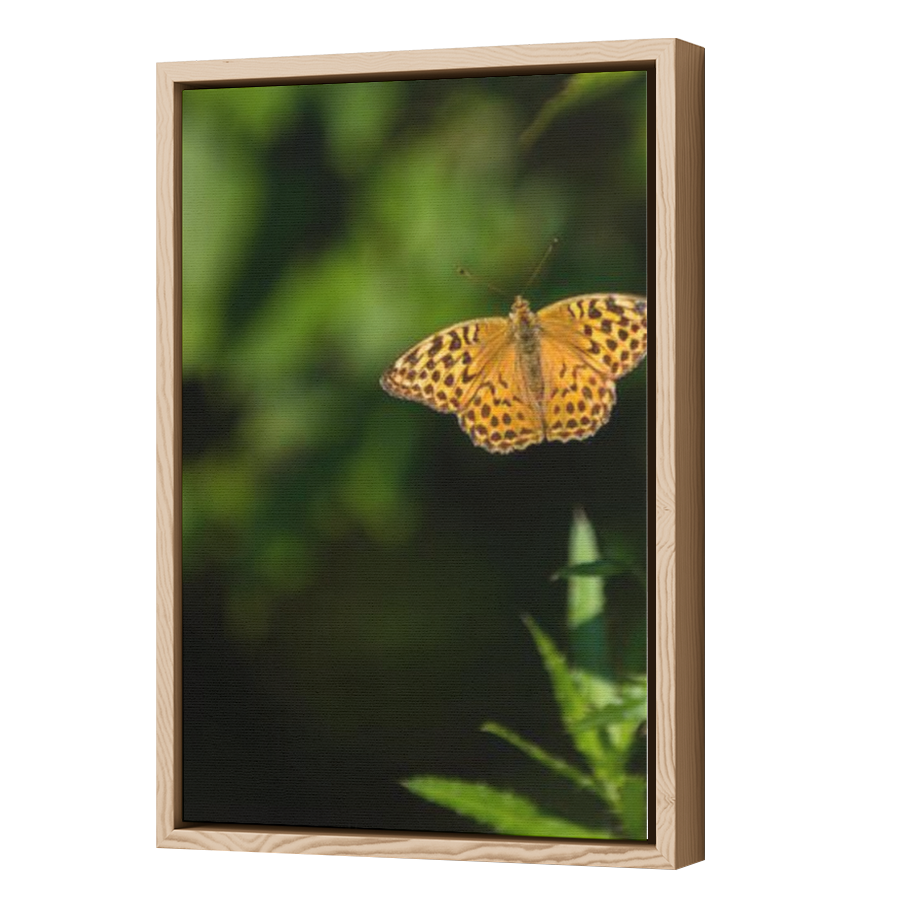 Thumbnail for Canvas - Wood Grain Floating Frame
