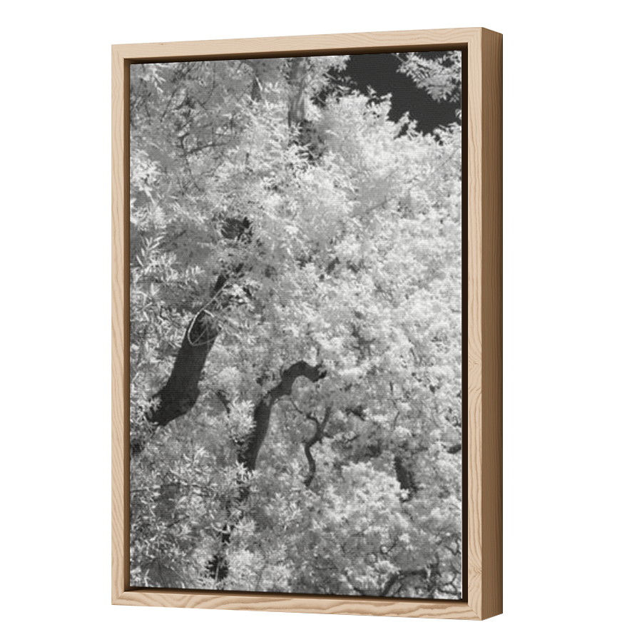 Thumbnail for Canvas - Wood Grain Floating Frame