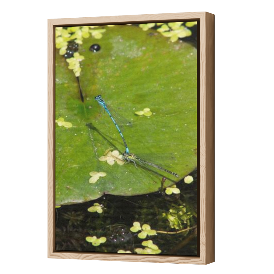 Thumbnail for Canvas - Wood Grain Floating Frame