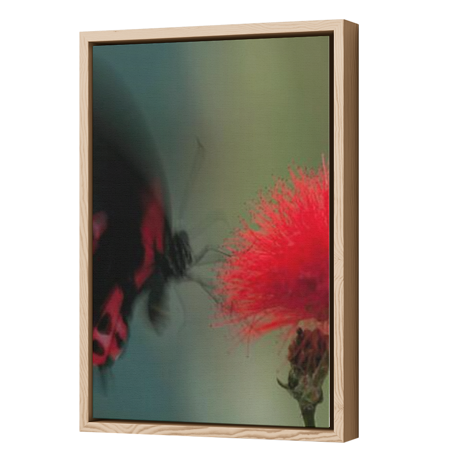 Thumbnail for Canvas - Wood Grain Floating Frame