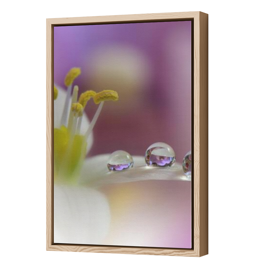 Thumbnail for Canvas - Wood Grain Floating Frame