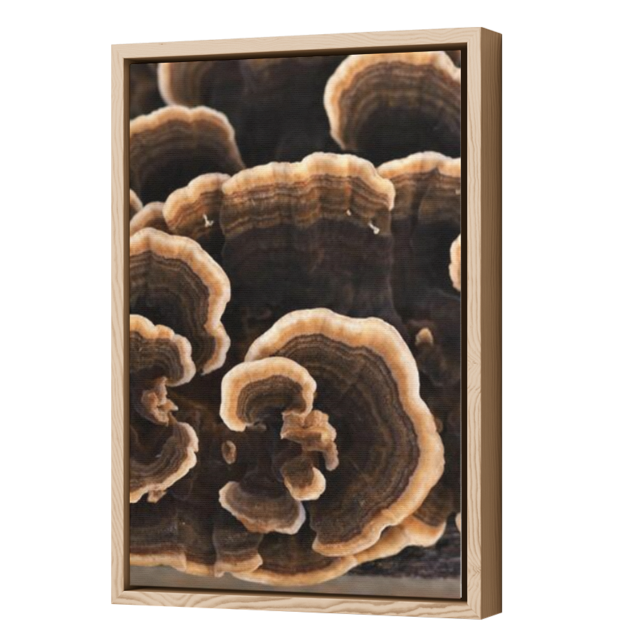 Thumbnail for Canvas - Wood Grain Floating Frame