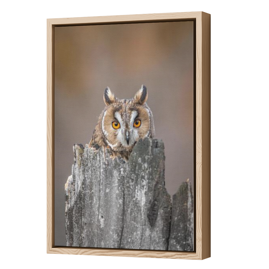 Thumbnail for Canvas - Wood Grain Floating Frame