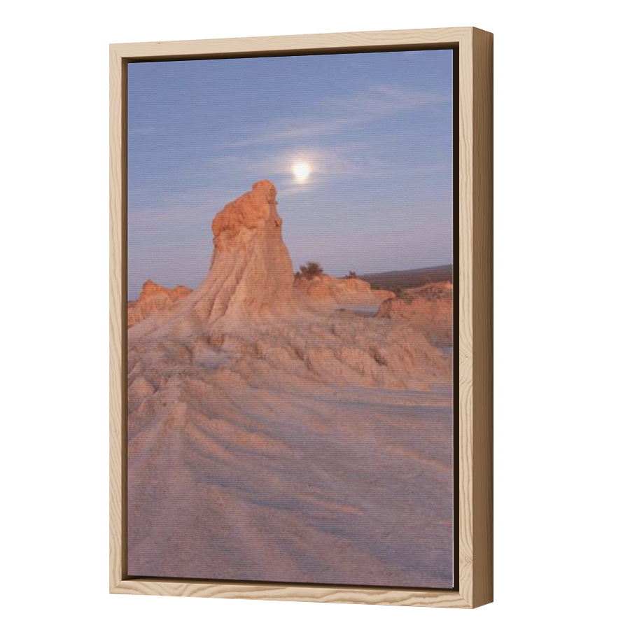 Thumbnail for Canvas - Wood Grain Floating Frame