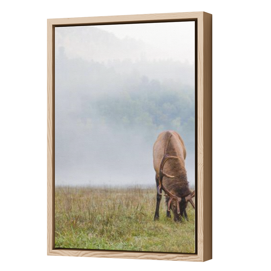 Thumbnail for Canvas - Wood Grain Floating Frame