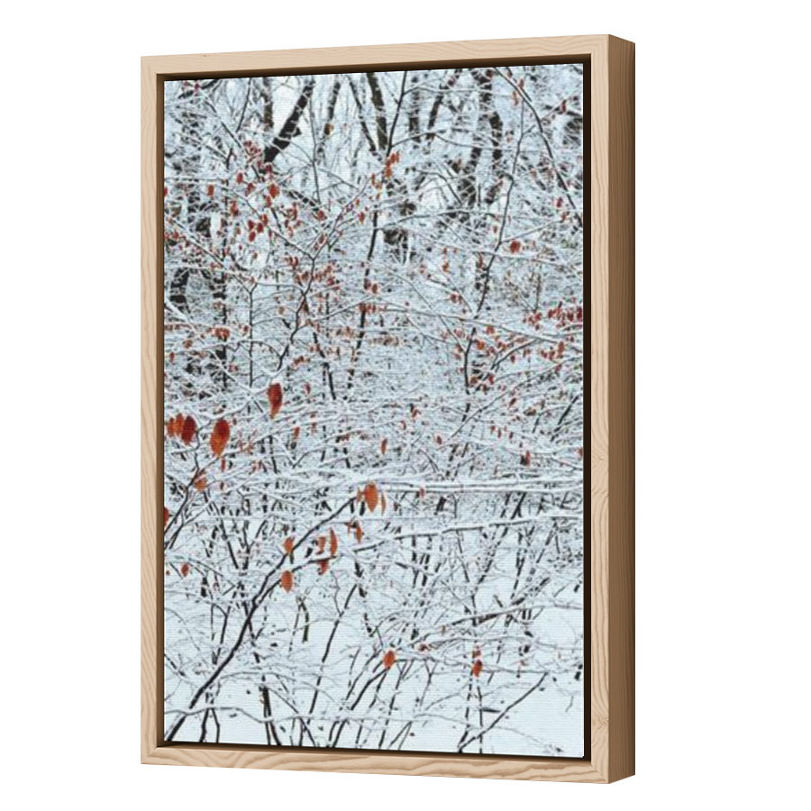 Thumbnail for Canvas - Wood Grain Floating Frame