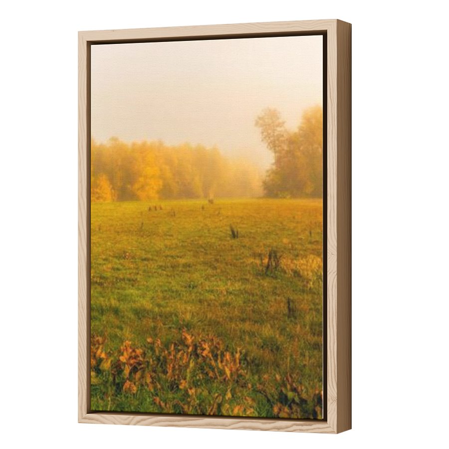 Thumbnail for Canvas - Wood Grain Floating Frame