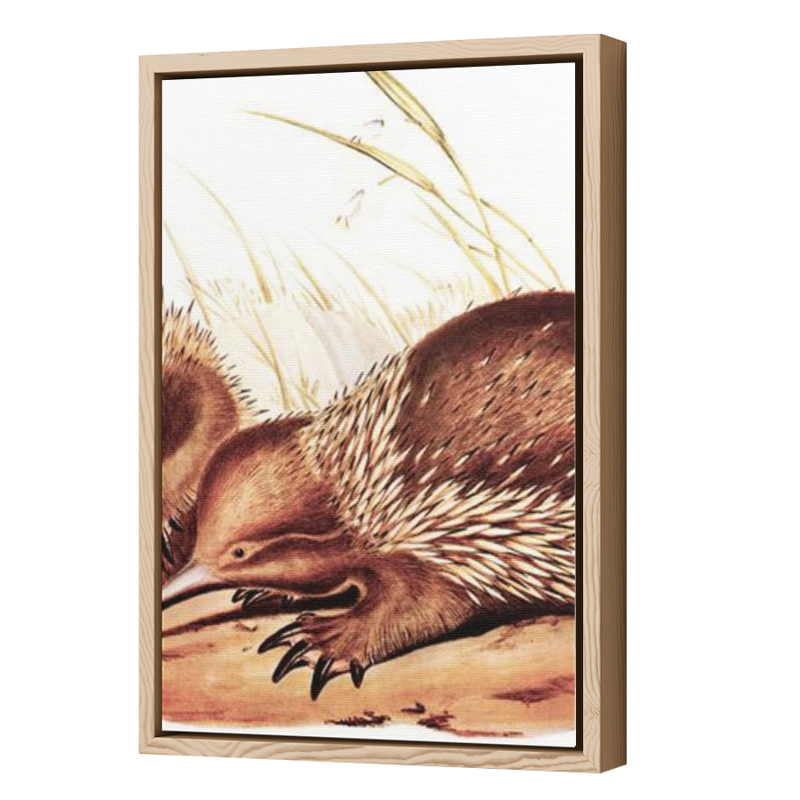 Thumbnail for Canvas - Wood Grain Floating Frame