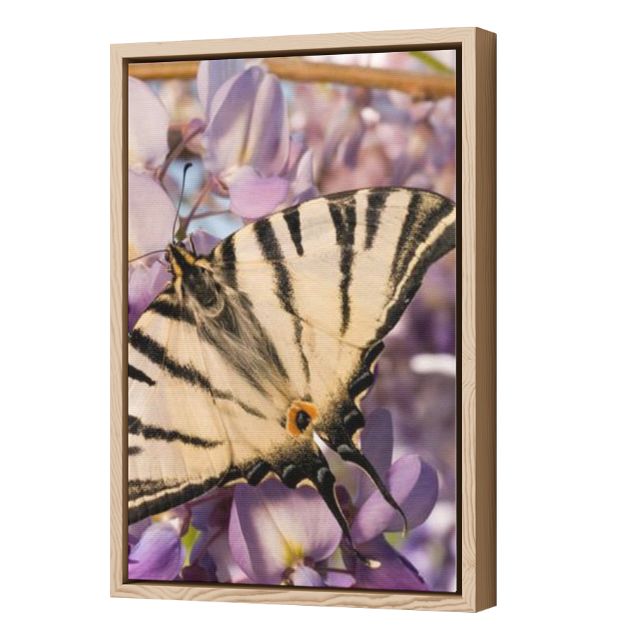 Thumbnail for Canvas - Wood Grain Floating Frame