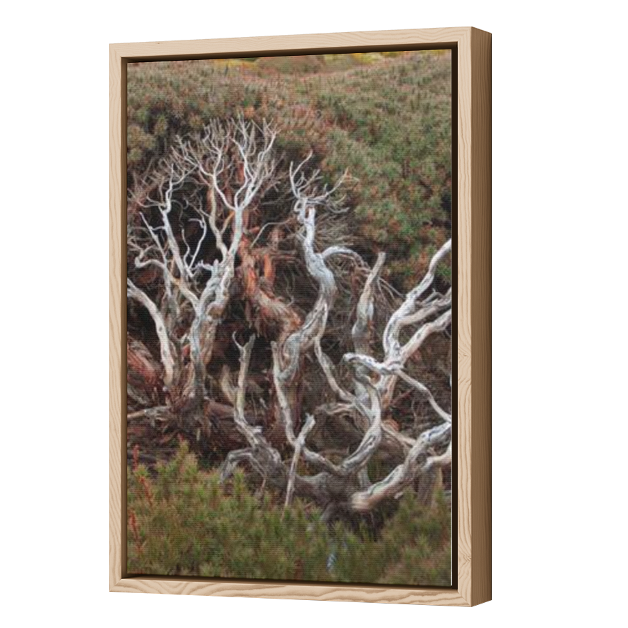 Thumbnail for Canvas - Wood Grain Floating Frame