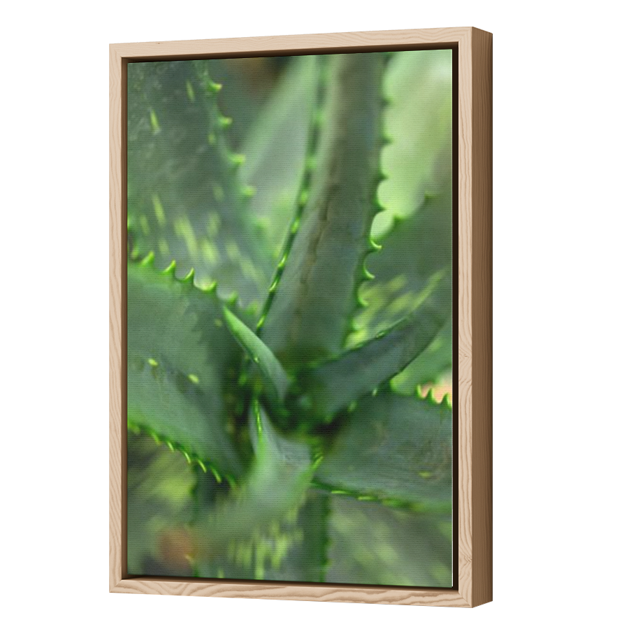 Thumbnail for Canvas - Wood Grain Floating Frame
