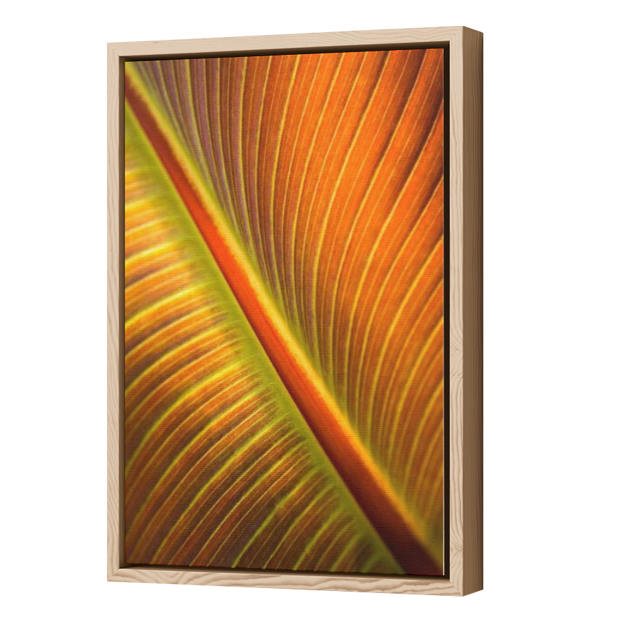 Thumbnail for Canvas - Wood Grain Floating Frame