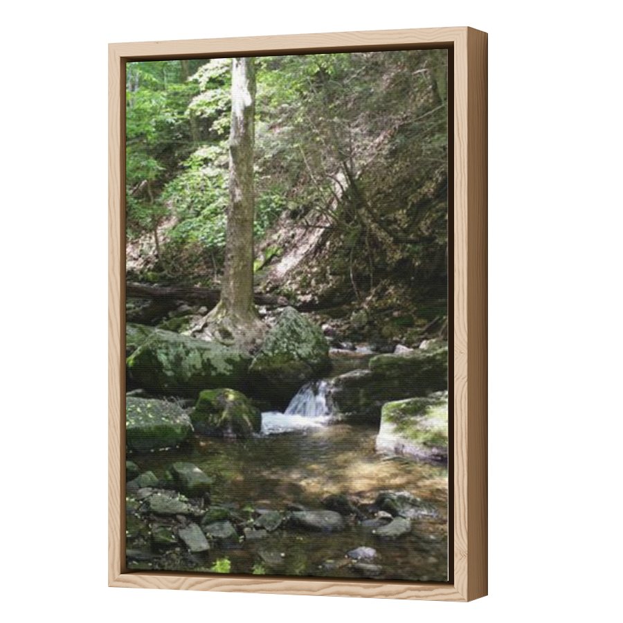 Thumbnail for Canvas - Wood Grain Floating Frame