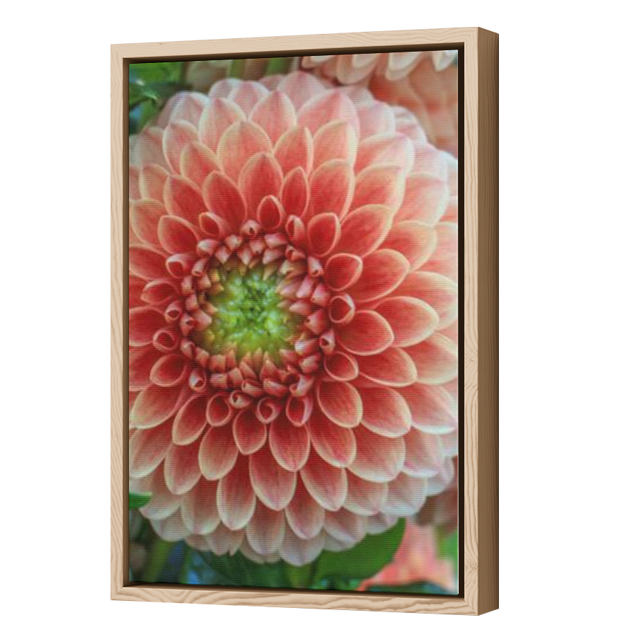 Thumbnail for Canvas - Wood Grain Floating Frame