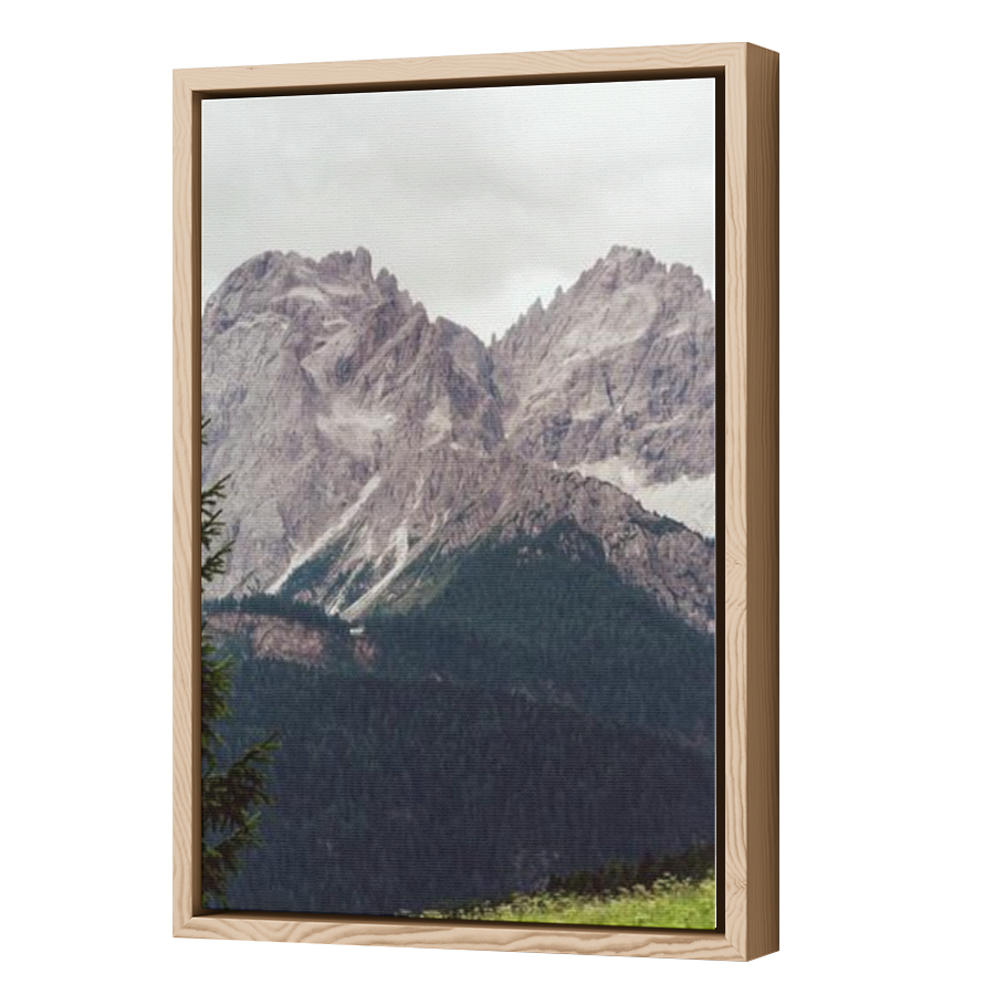 Thumbnail for Canvas - Wood Grain Floating Frame