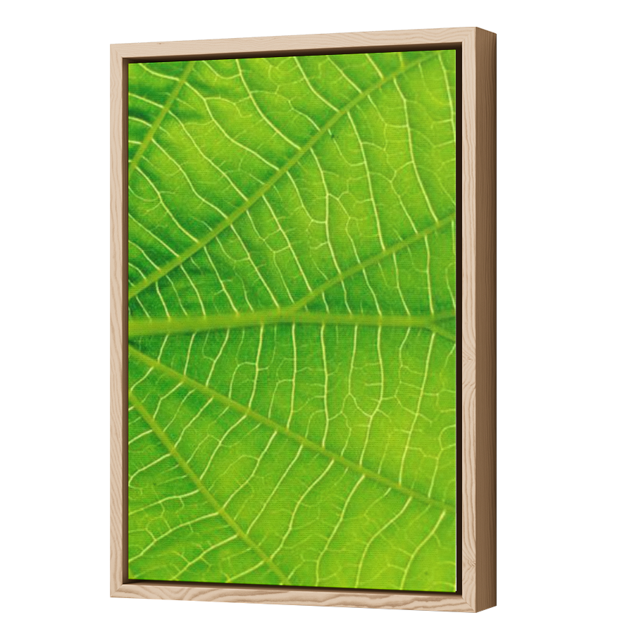Thumbnail for Canvas - Wood Grain Floating Frame