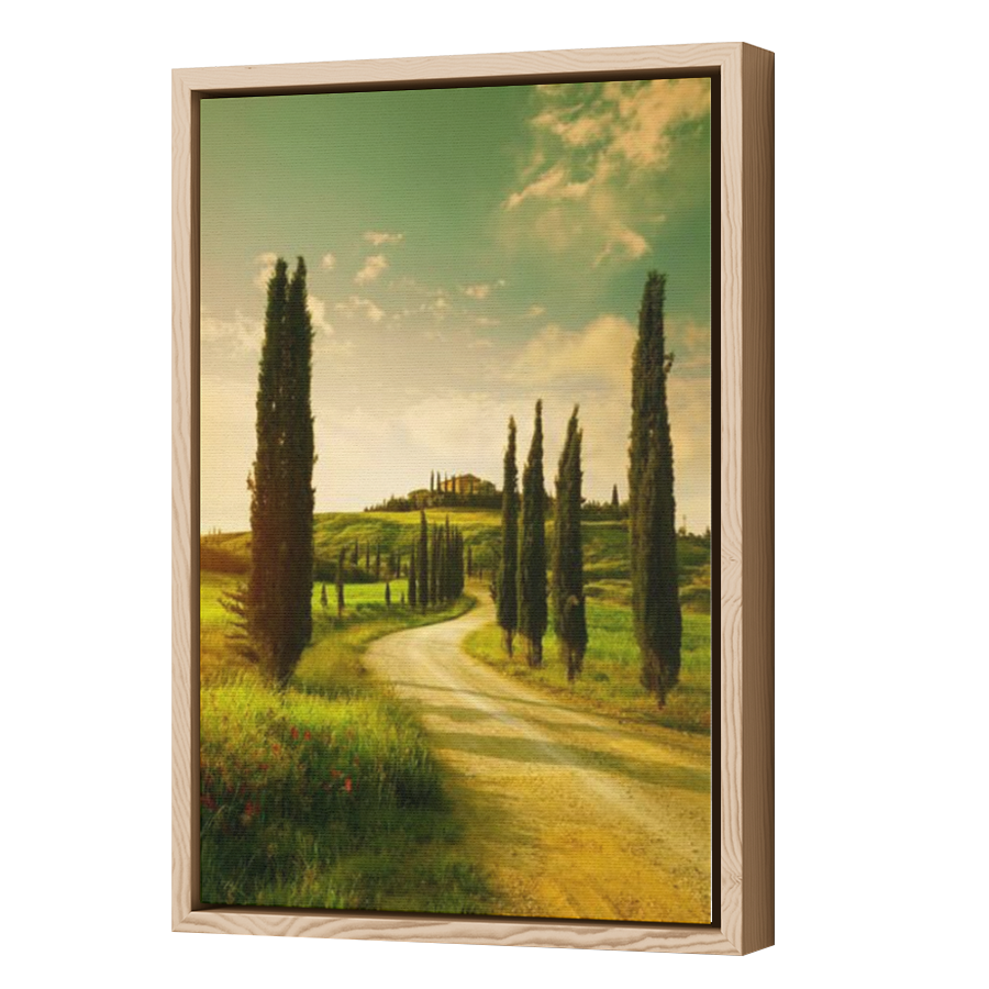 Thumbnail for Canvas - Wood Grain Floating Frame