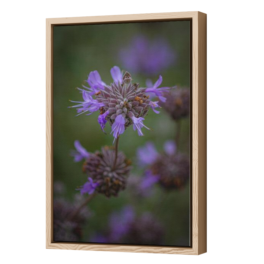 Thumbnail for Canvas - Wood Grain Floating Frame