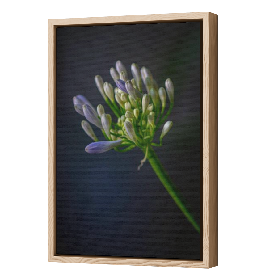 Thumbnail for Canvas - Wood Grain Floating Frame