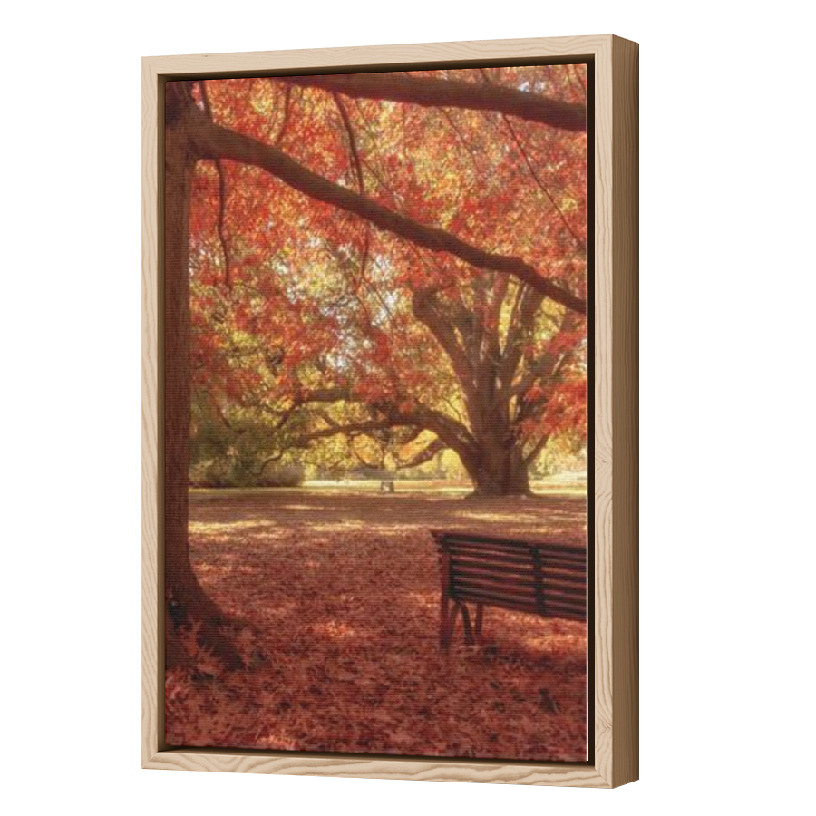 Thumbnail for Canvas - Wood Grain Floating Frame