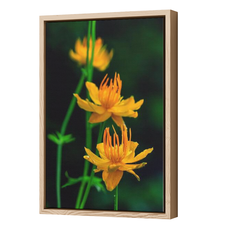Thumbnail for Canvas - Wood Grain Floating Frame