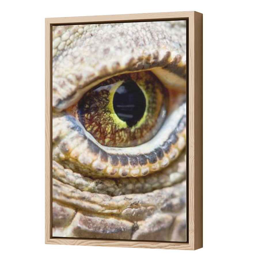 Thumbnail for Canvas - Wood Grain Floating Frame