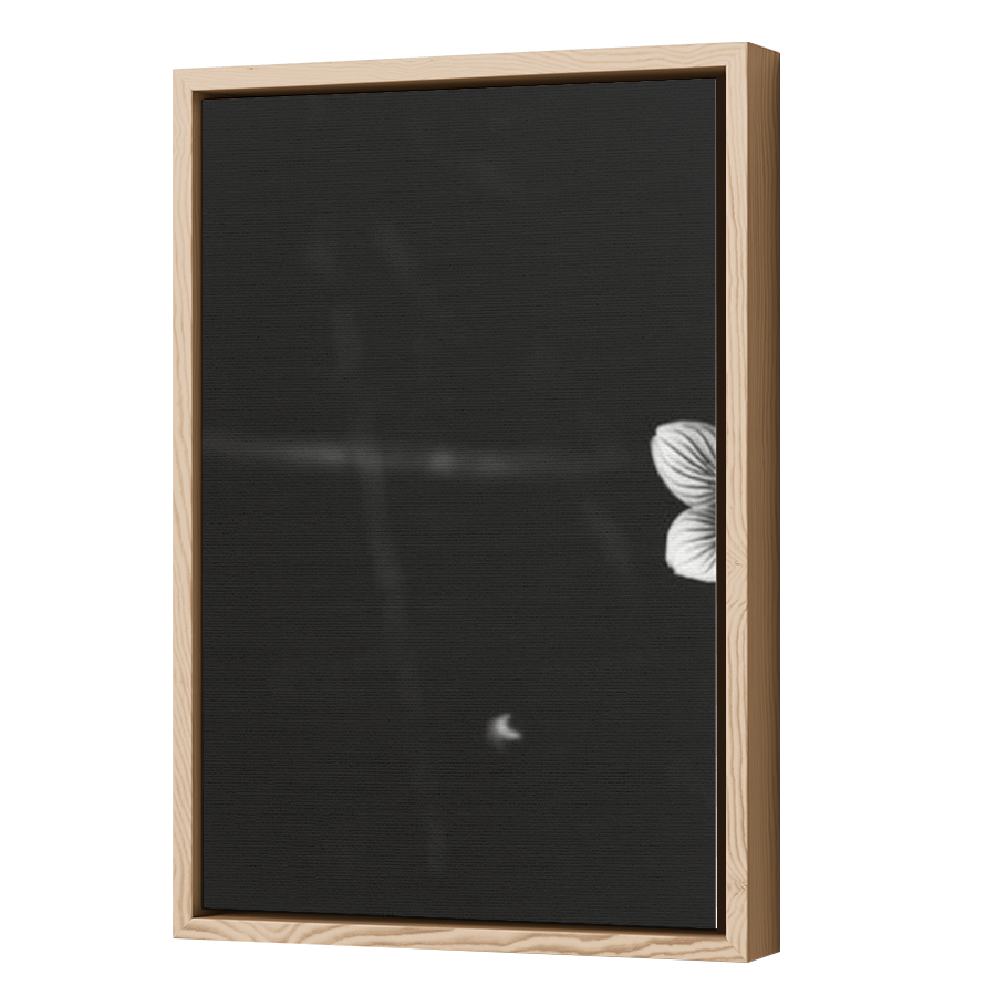 Thumbnail for Canvas - Wood Grain Floating Frame