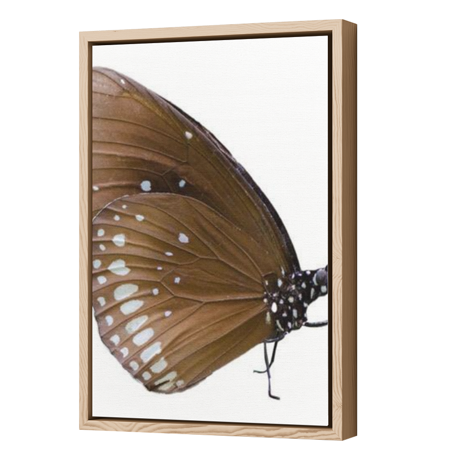 Thumbnail for Canvas - Wood Grain Floating Frame