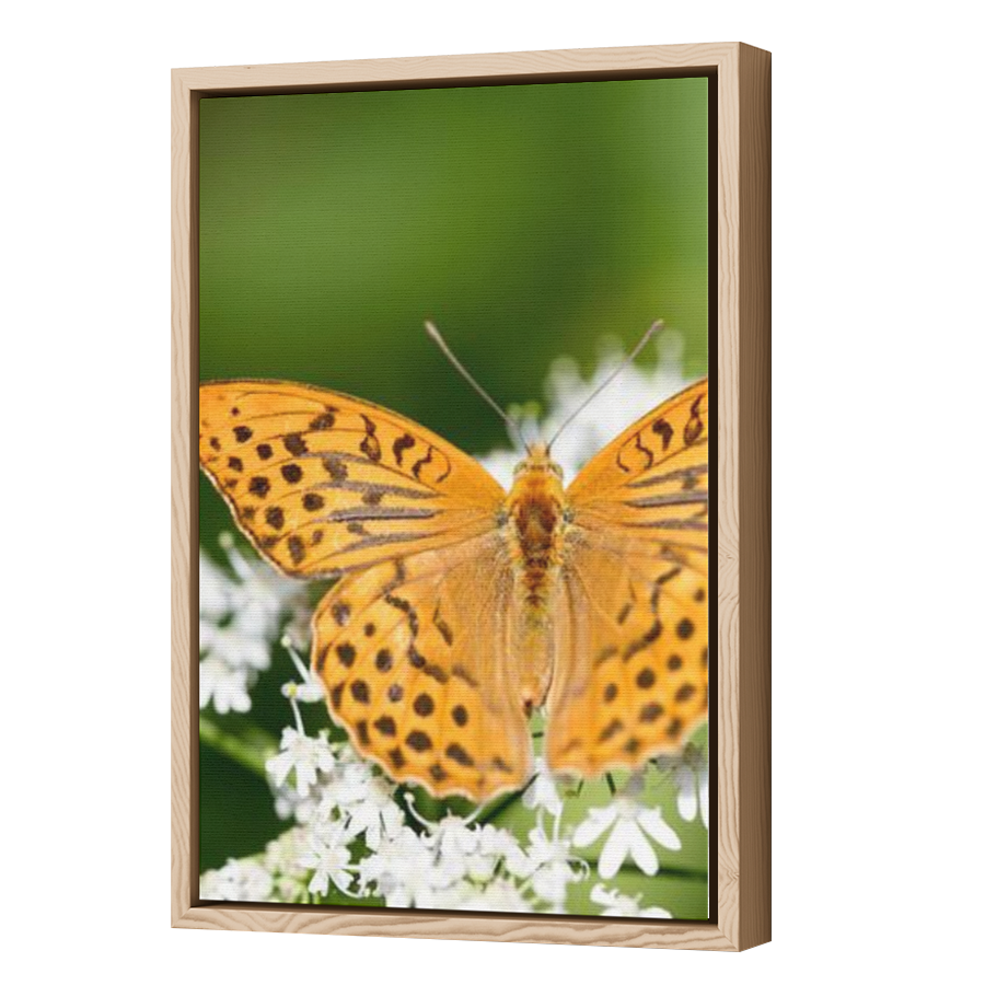 Thumbnail for Canvas - Wood Grain Floating Frame