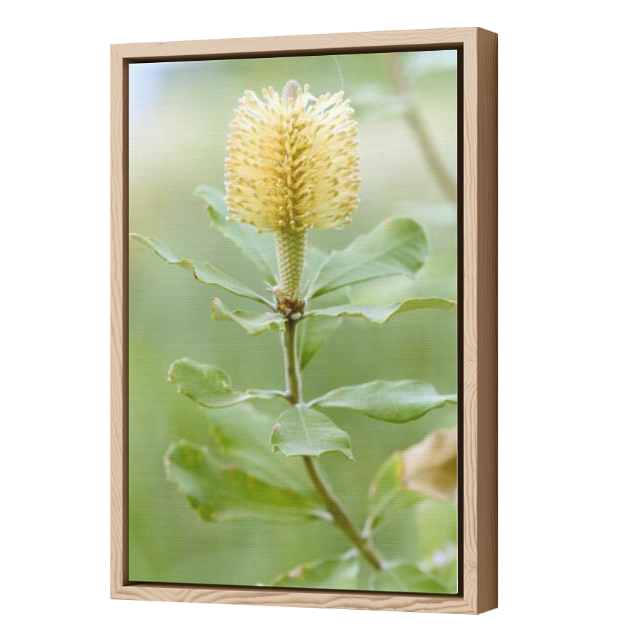 Thumbnail for Canvas - Wood Grain Floating Frame