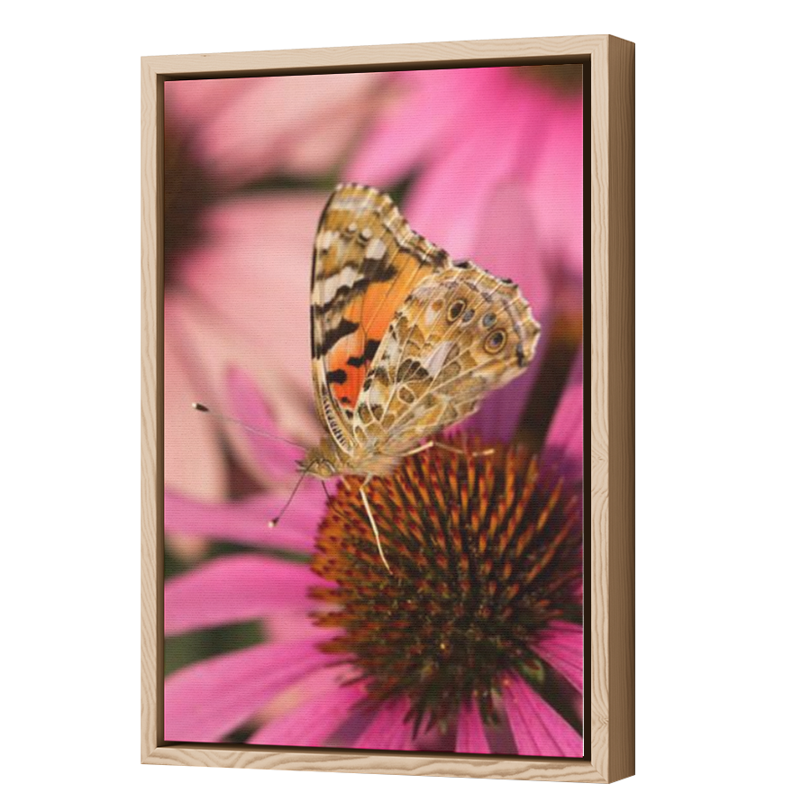 Thumbnail for Canvas - Wood Grain Floating Frame