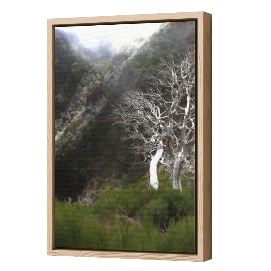 Thumbnail for Canvas - Wood Grain Floating Frame