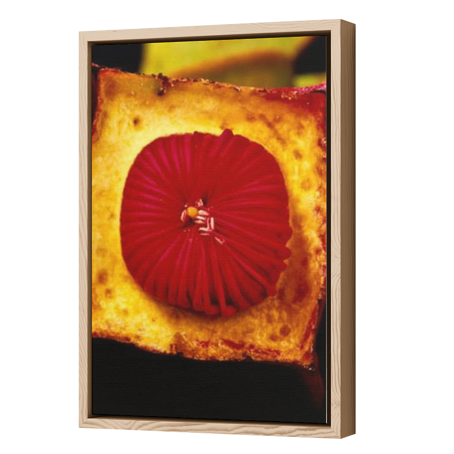 Thumbnail for Canvas - Wood Grain Floating Frame