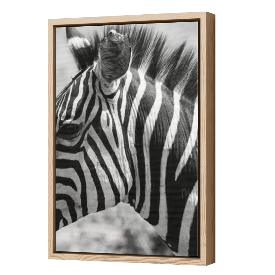 Thumbnail for Canvas - Wood Grain Floating Frame