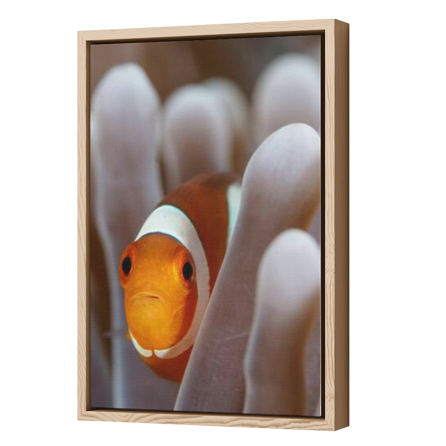 Thumbnail for Canvas - Wood Grain Floating Frame