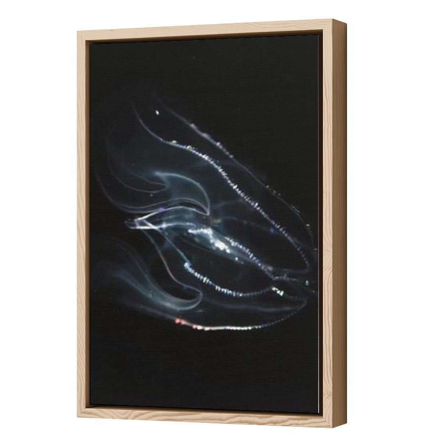 Thumbnail for Canvas - Wood Grain Floating Frame