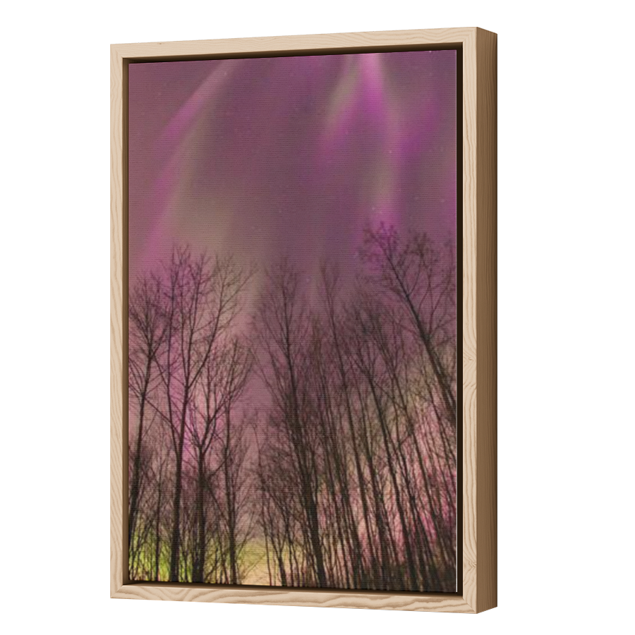 Thumbnail for Canvas - Wood Grain Floating Frame