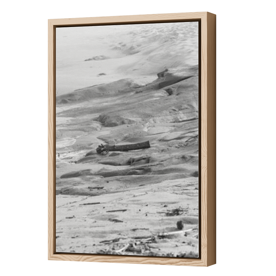 Thumbnail for Canvas - Wood Grain Floating Frame