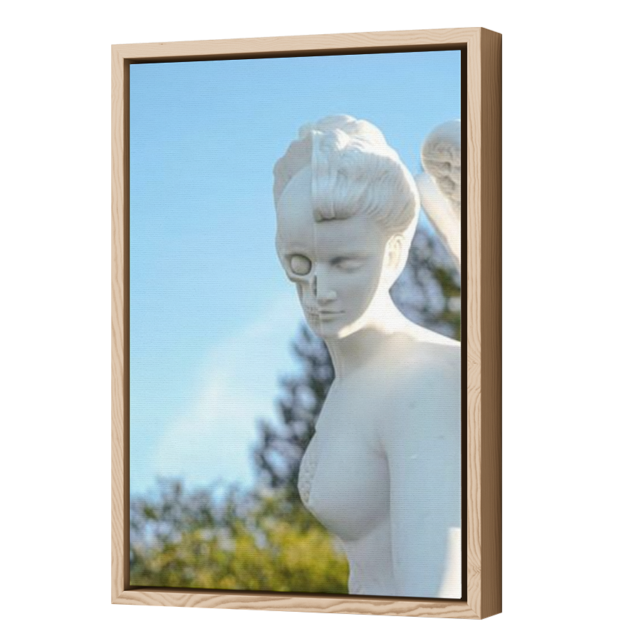 Thumbnail for Canvas - Wood Grain Floating Frame