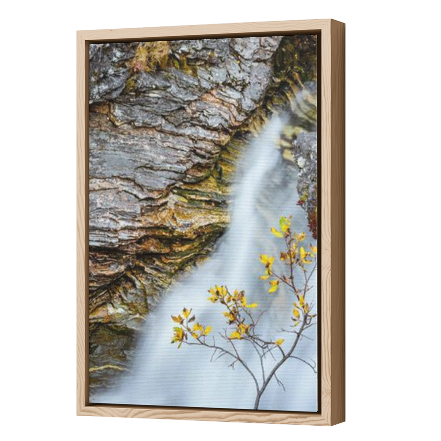 Thumbnail for Canvas - Wood Grain Floating Frame