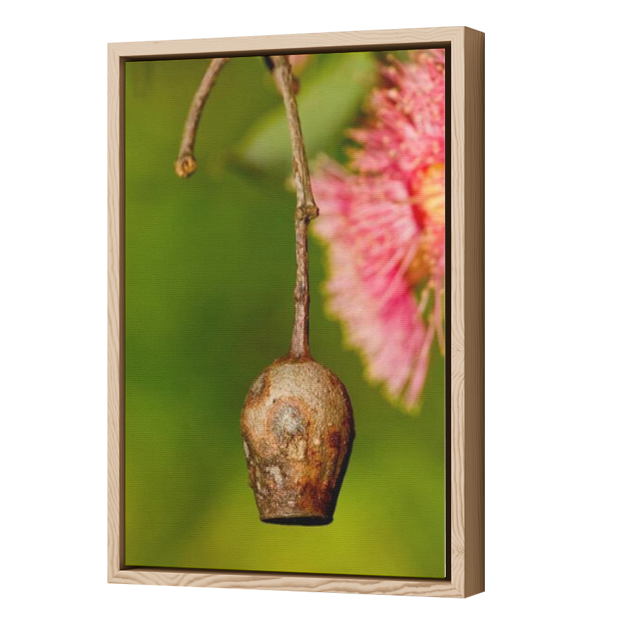 Thumbnail for Canvas - Wood Grain Floating Frame
