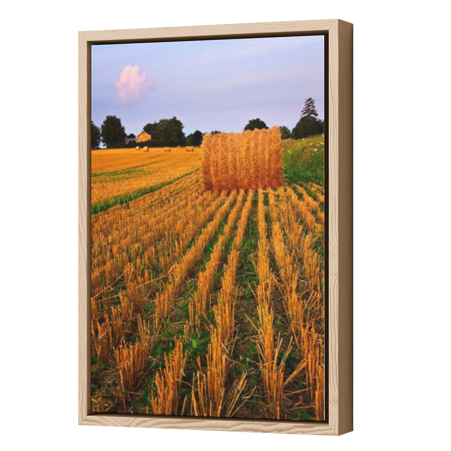 Thumbnail for Canvas - Wood Grain Floating Frame