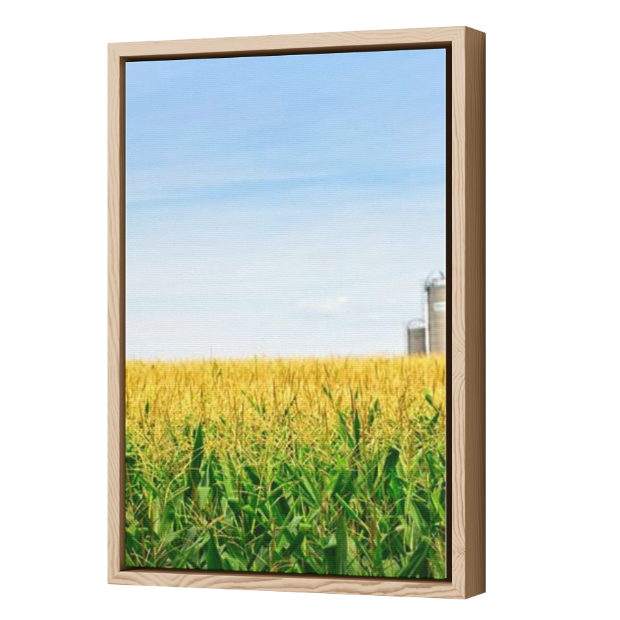 Thumbnail for Canvas - Wood Grain Floating Frame