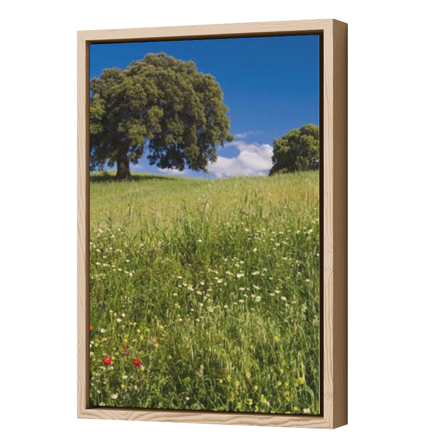Thumbnail for Canvas - Wood Grain Floating Frame