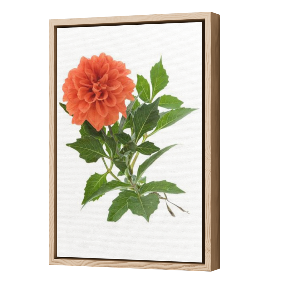 Thumbnail for Canvas - Wood Grain Floating Frame