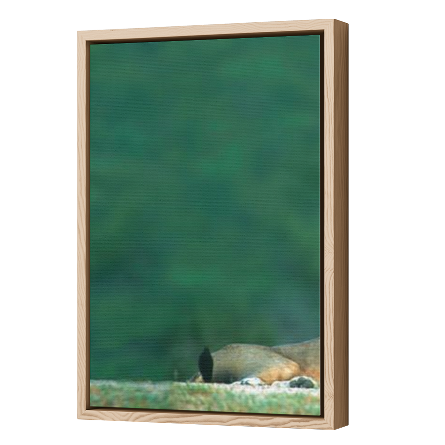 Thumbnail for Canvas - Wood Grain Floating Frame