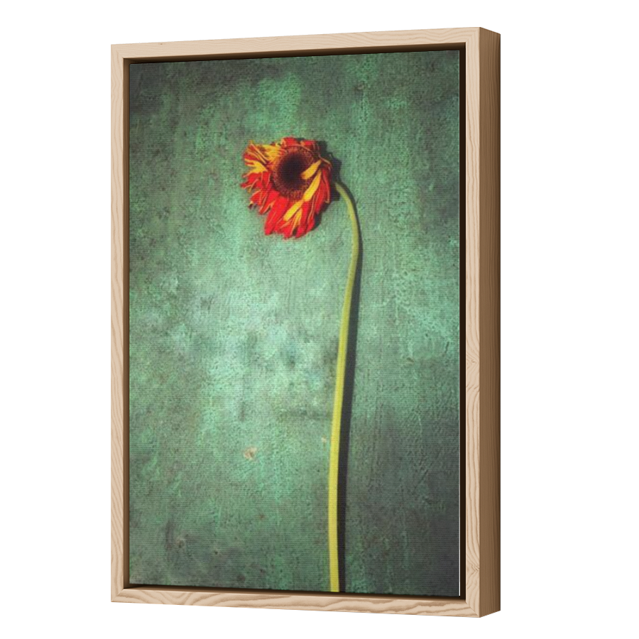Thumbnail for Canvas - Wood Grain Floating Frame